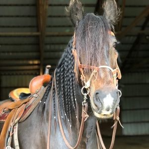 Meet your Posher, Holley